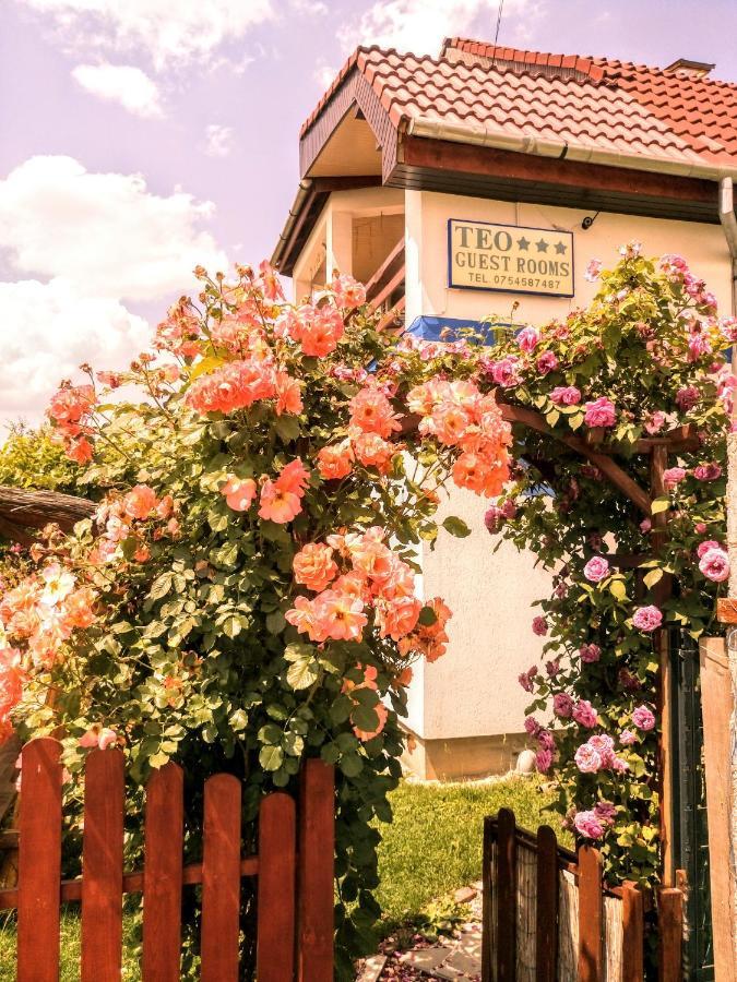 Teo Guest Rooms Băile Felix Esterno foto