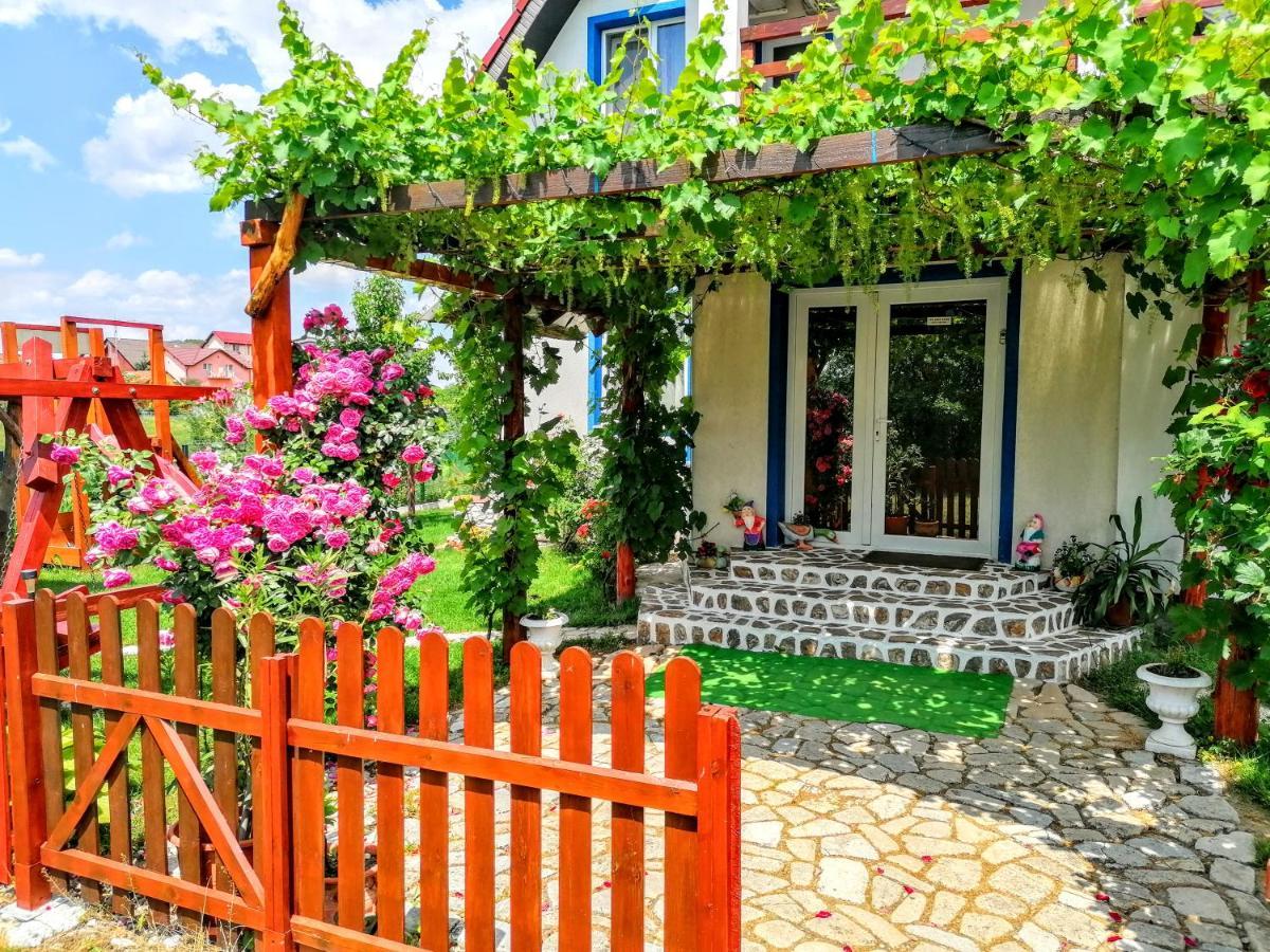 Teo Guest Rooms Băile Felix Esterno foto